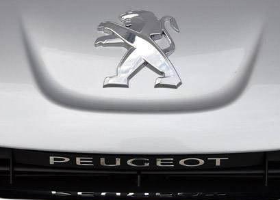 以動(dòng)物圖案作為L(zhǎng)OGO的汽車(chē)，你能認(rèn)出幾個(gè)？又能養(yǎng)得起多少