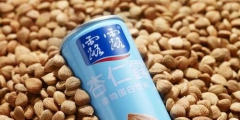 汕頭法院判了！承德露露不服！一個商標(biāo)使用權(quán)引發(fā)的官司