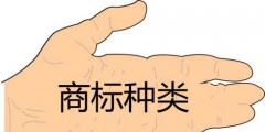 玻璃杯子屬于第幾類商標(biāo)？