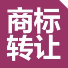 商標(biāo)轉(zhuǎn)讓全攻略：如何選擇商標(biāo)轉(zhuǎn)讓交易網(wǎng)站？