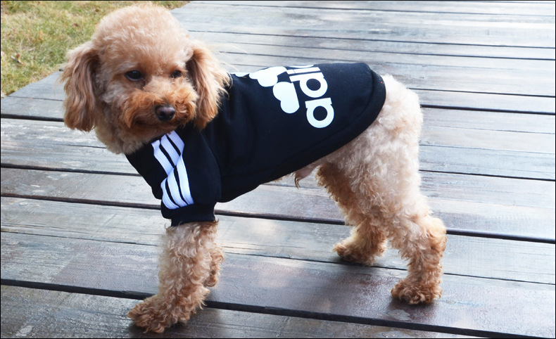 Adidas還有寵物服裝支線Adidog？ 其實(shí)是商標(biāo)侵權(quán)