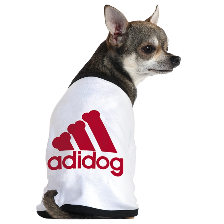 Adidas還有寵物服裝支線Adidog？ 其實(shí)是商標(biāo)侵權(quán)