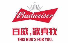 假冒 “百威”商標(biāo)罐裝啤酒，廣西玉林興業(yè)縣法院審理首起侵犯知識(shí)產(chǎn)權(quán)罪案件