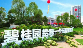 五星級的家”字樣，被認定屬于不得作為商標使用的標志