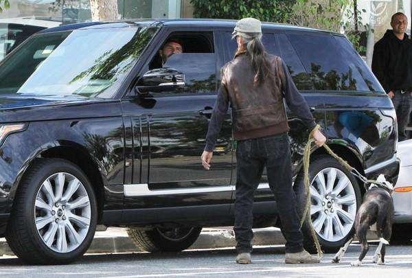 以“動物”為標志的汽車，路上見到記得避讓，碰壞了賣車也賠不起