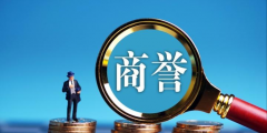 商譽屬于什么資產(商譽屬于企業(yè)的無形資產嗎)
