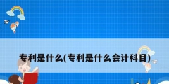 專(zhuān)利是什么(專(zhuān)利是什么會(huì)計(jì)科目)